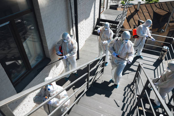 Best HVAC Mold Inspection and Cleaning  in Cassville, WV