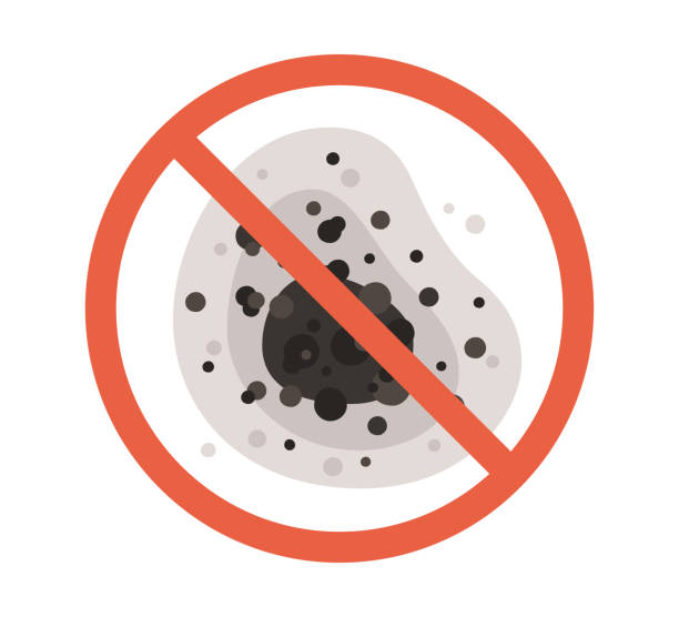 Best Comprehensive Air Testing for Mold Contaminants  in Cassville, WV