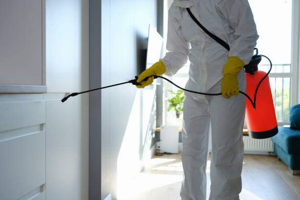 Best Mold Odor Removal Services  in Cassville, WV
