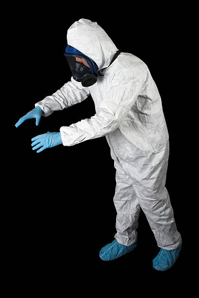 Environmental Consulting for Mold Prevention in Cassville, WV