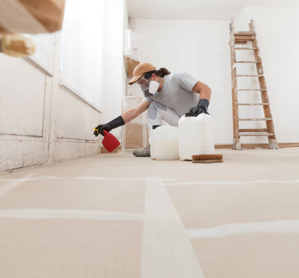 Best Attic Mold Removal  in Cassville, WV