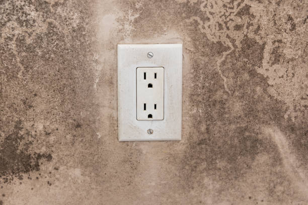 Best Commercial Mold Inspection  in Cassville, WV