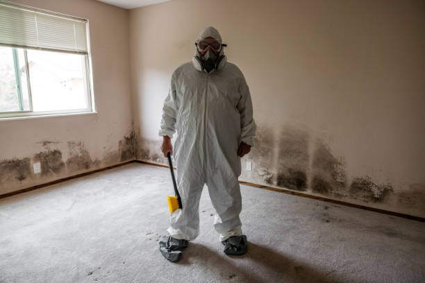 Best Asbestos and Lead Testing During Mold Inspection  in Cassville, WV